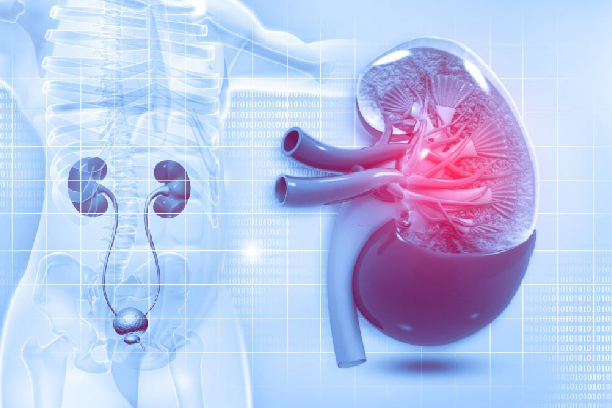 Urology